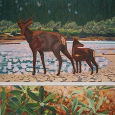 Bonnet_Plume_RIver_Diamonds_and_Gold.jpg