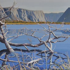 Western-Brook-Pond.jpg