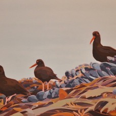 Isakson.OysterCatchers.jpg