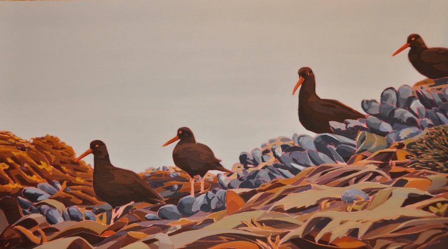 Oyster Catchers, acrylic on canvas, 30” x 54”