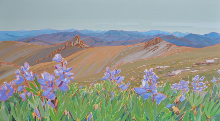 Alpine Lupins, acrylic on canvas, 30” x 54”