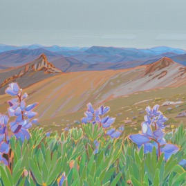 Isakson.Alpine_Lupins.jpg