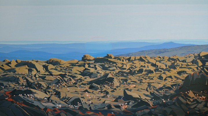 Tablelands, acrylic on canvas, 48” x 84”